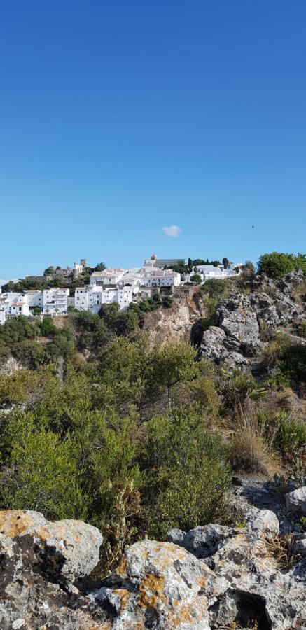 Puerto Estepona Exteriér fotografie